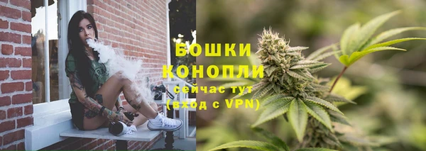 дживик Аркадак