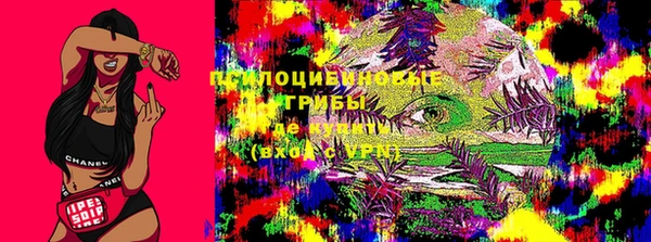 mdpv Арсеньев