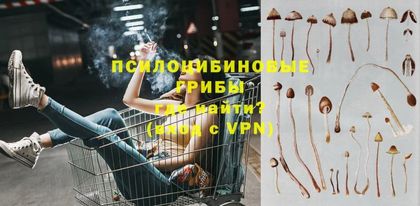 mdpv Арсеньев