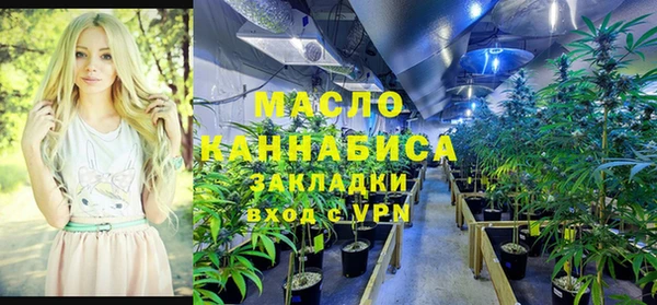 дживик Аркадак
